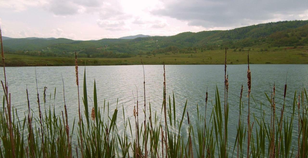 Eco Camp Drno Brdo Villa Kosanica Kültér fotó